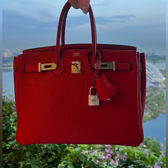 HERMES Togo Birkin 25 with Palladium Hardware - Picture 4 of 16
